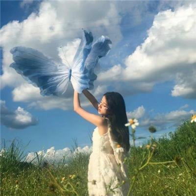 主妇的战争